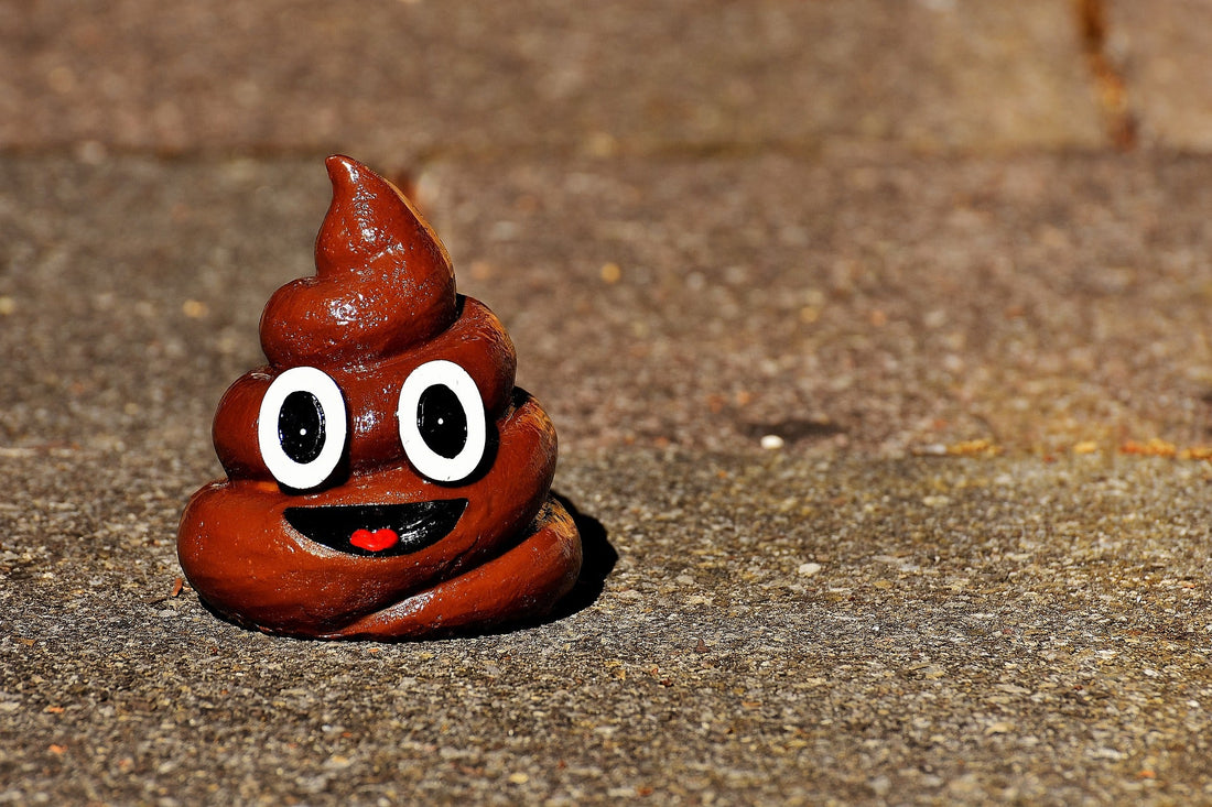 Should You Wash Your Hands After Picking Up Dog Poop? Unleashing the Facts!
