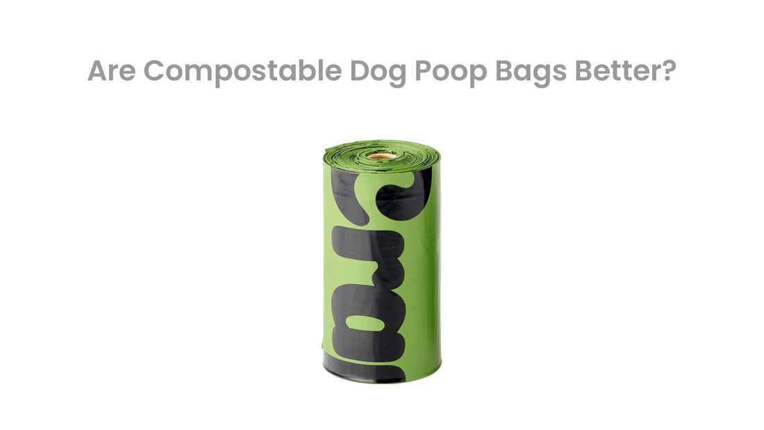 Text that says Are Compostable Dog Poop Bags Better?