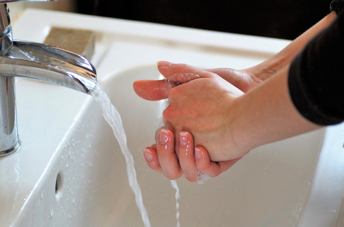 How to Get Dog Poop Smell Off Your Hands: A Comprehensive Guide