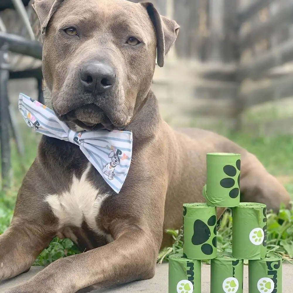 Picture of @dre_the_american_staffyfrom Instagram who is with Oh Crap Dog Poop Bags