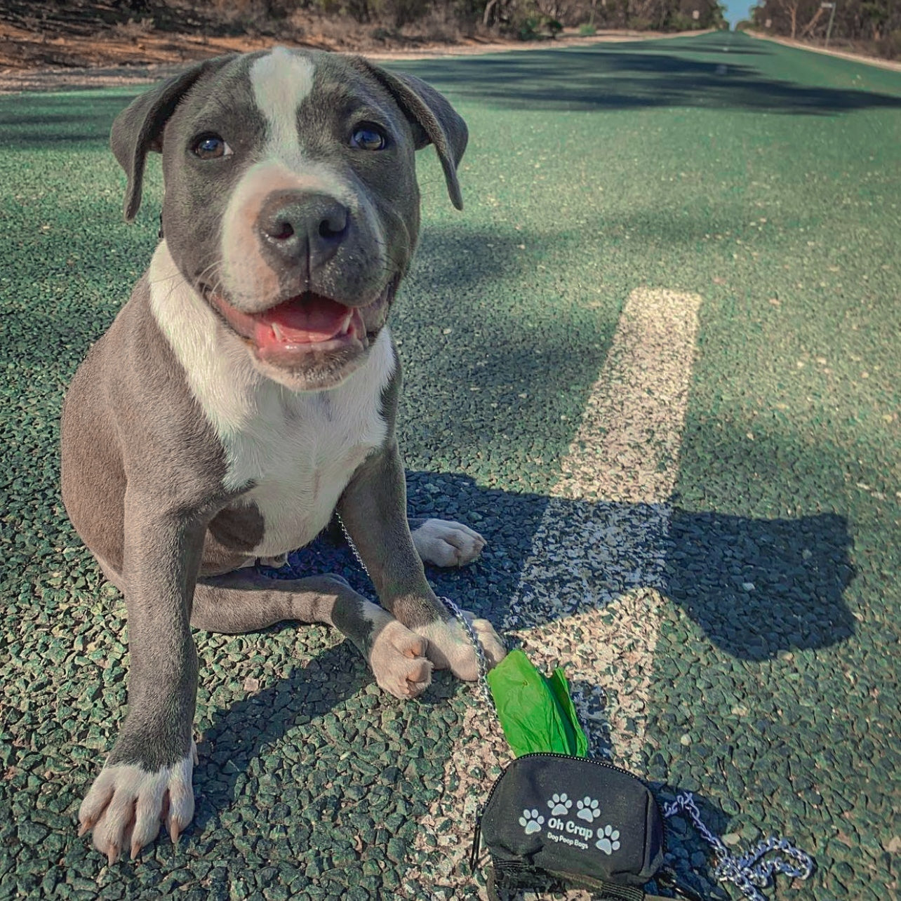 Oh Crap Dog Poop Bag Holder