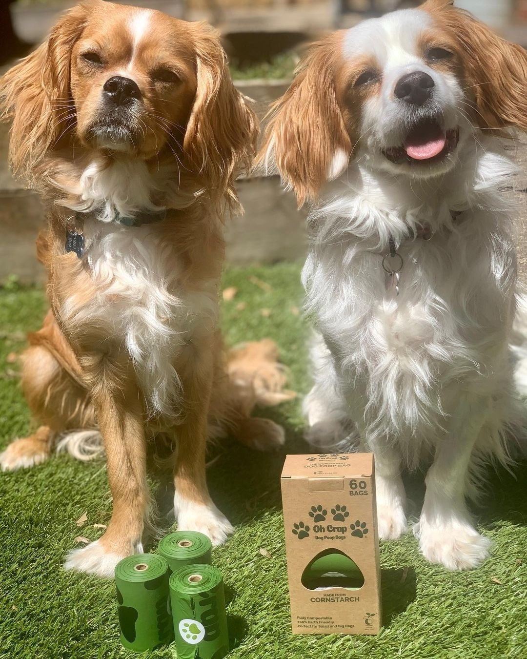 Oh Crap Compostable Dog Poop Bags - Point of Sale Retail Ready