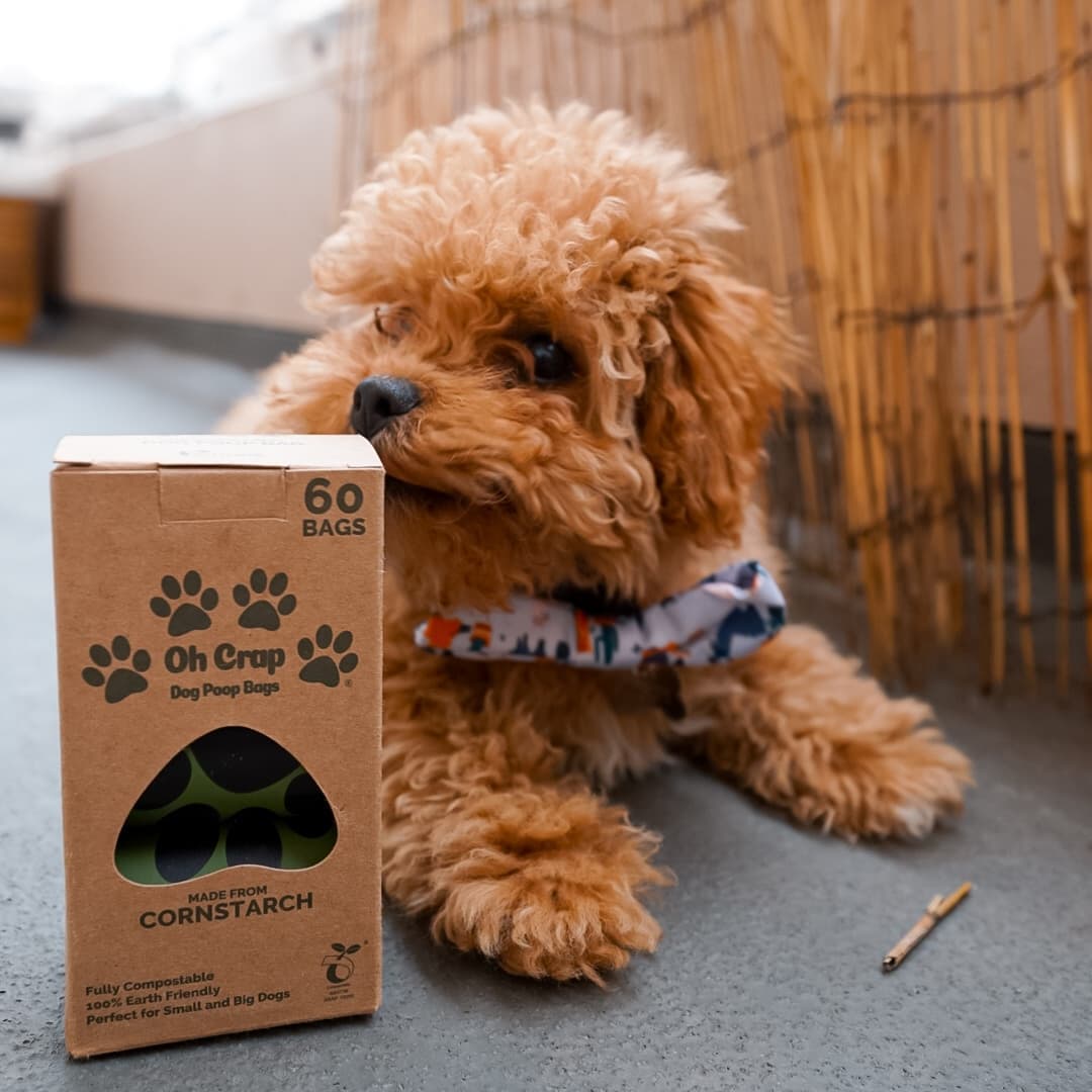 Oh Crap Compostable Dog Poop Bags - Point of Sale Retail Ready