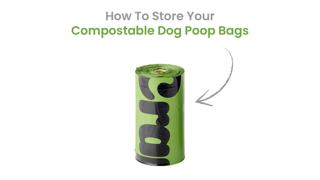 How to Store Compostable Dog Poop Bags