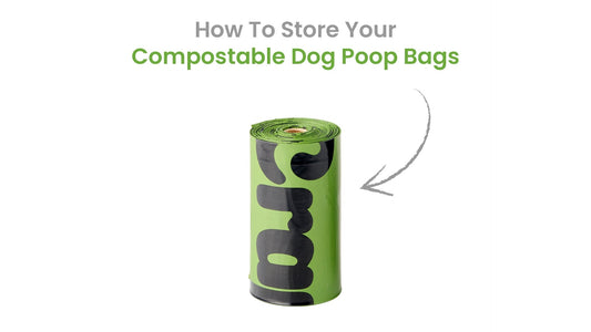 How to Store Compostable Dog Poop Bags