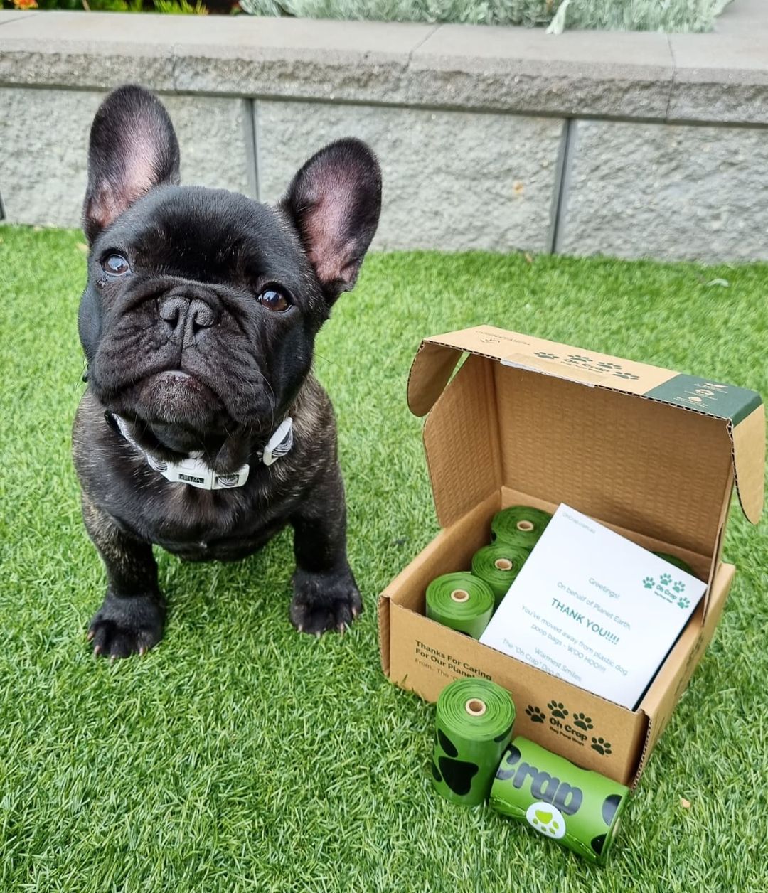 Dog Waste Bags