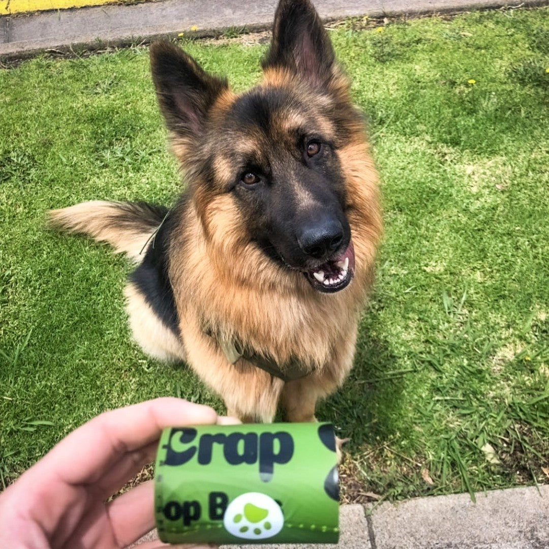 Heavy Duty Dog Poop Bags