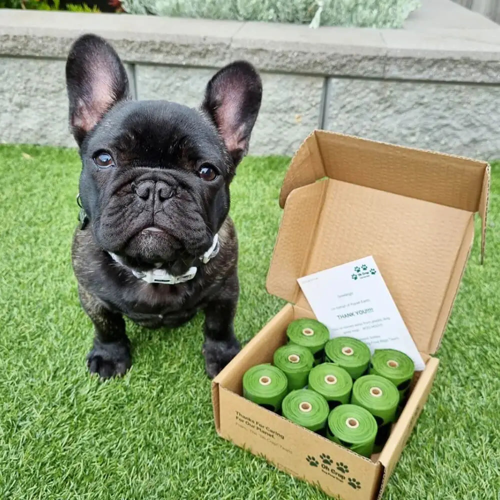 Picture of @bear_brindlefrenchie from Instagram who is with Oh Crap Dog Poop Bags