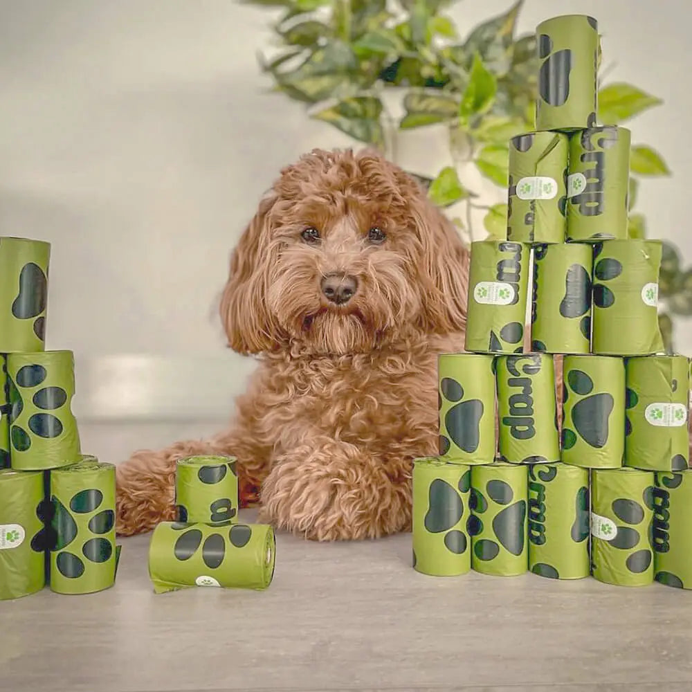 Eco poop bags for dogs outlet