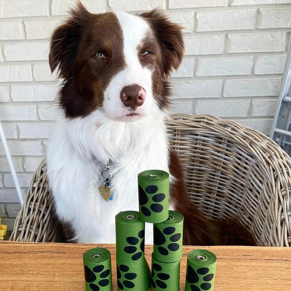 Dog poop basket outlet