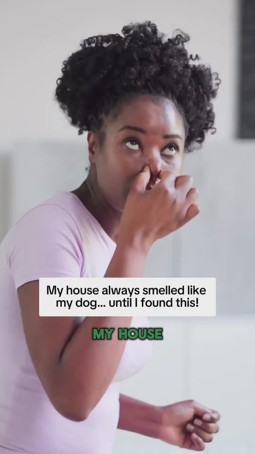 Image video