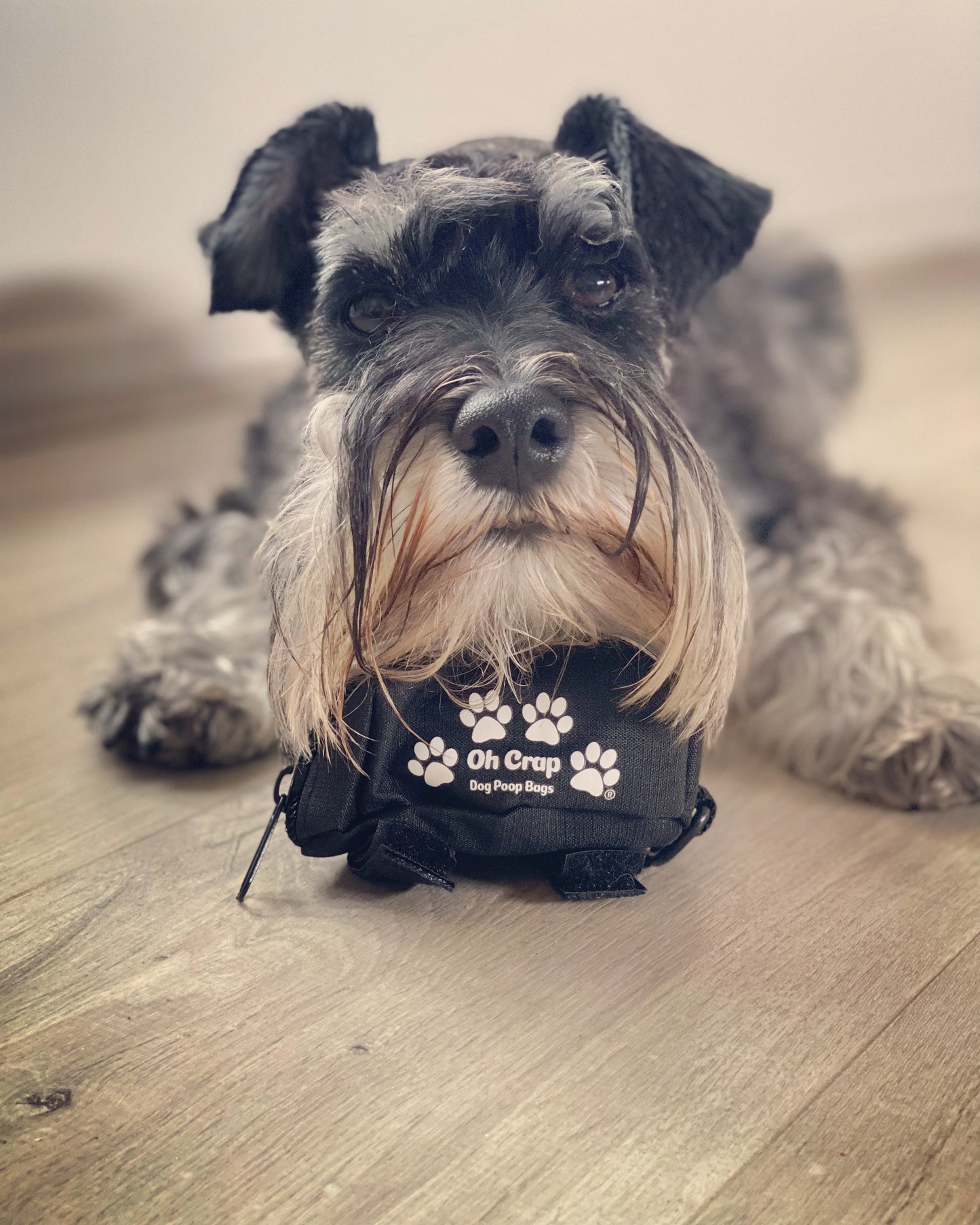 Oh Crap Dog Poop Bag Holder