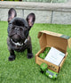 Oh Crap Compostable Dog Poop Bags